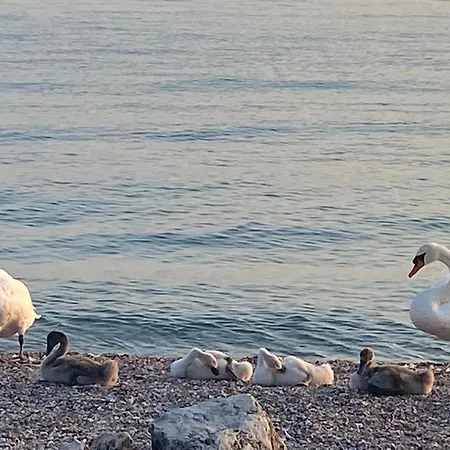 Апартаменты Giuliva